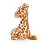 Bashful Giraffe Med