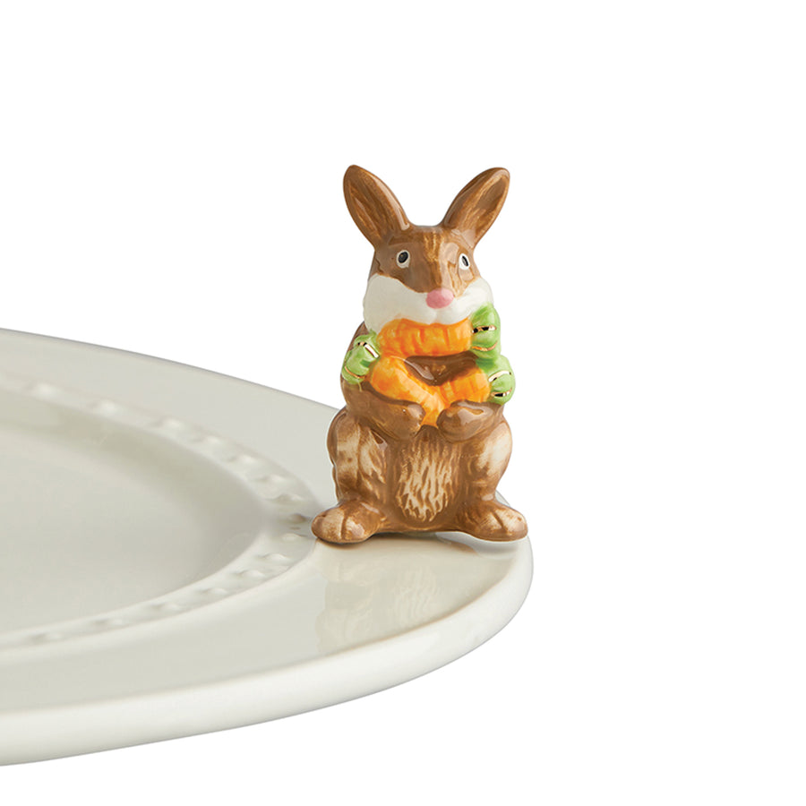 NF - A226 Funny Bunny